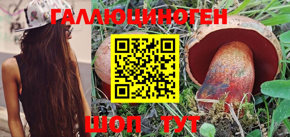 Псилоцибиновые грибы Cubensis  Великий Устюг 