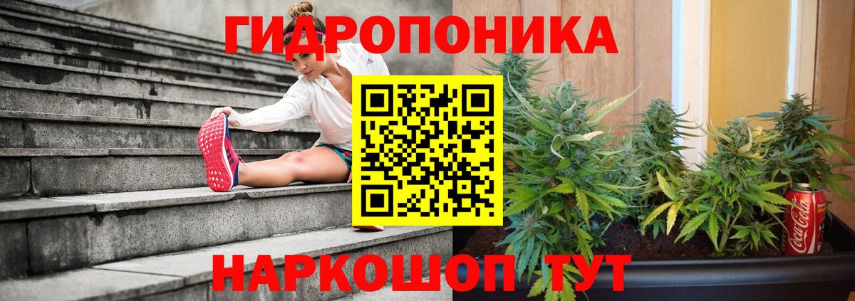 Конопля индика  Бошки марихуана планчик  МАРИХУАНА LSD WEED  Великий Устюг 